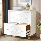 Modern White 2-Drawer File Cabinet, Office Lateral Filing Cabinet for Legal/Letter/A4 Size